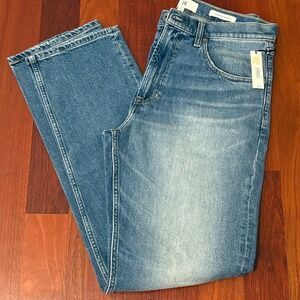 NWT Banana Republic Straight Authentic Jean - Size 33 x 34